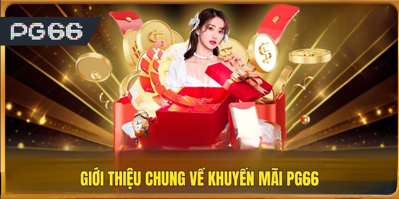 Giới thiệu chung về khuyến mãi PG66